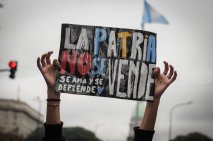 El Congreso o la Corte: las alternativas tras el fallo por la ley de Tierras Por Agustín Gulman